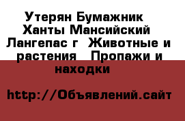 Утерян Бумажник - Ханты-Мансийский, Лангепас г. Животные и растения » Пропажи и находки   